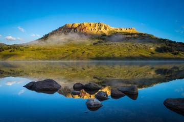 小驳骨有什么功效？