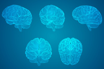 别墅庭院设计风格主要有哪几种