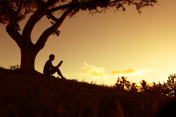 植物堆起来发热的原因