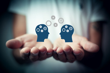 俄罗斯怎么可能有桉树