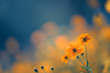 轩逸可以改电动折叠后视镜吗