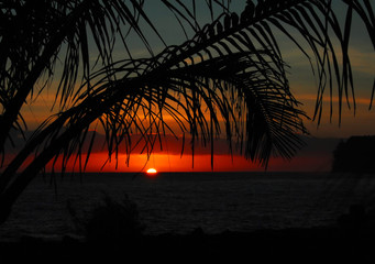 小驳骨有什么功效？