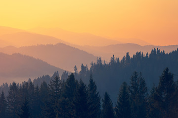 口袋妖怪漆黑的魅影怎么去第二个世界 进入二周目攻略