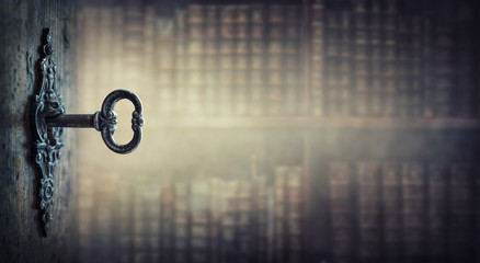 轩逸可以改电动折叠后视镜吗