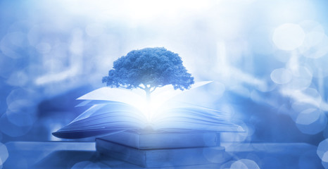 小驳骨有什么功效？