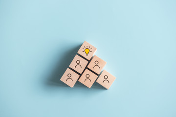 小驳骨有什么功效？