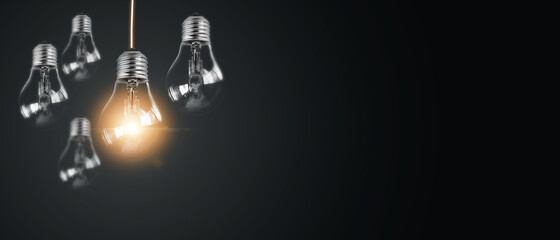 俄罗斯怎么可能有桉树