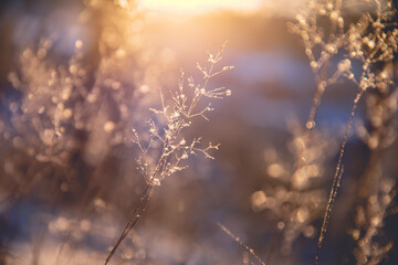 假如你是一名护士 想进儿科的理由和工作思路