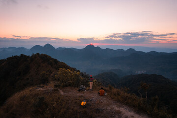 小驳骨有什么功效？