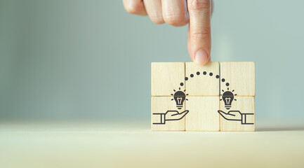 俄罗斯怎么可能有桉树