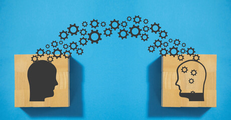 俄罗斯怎么可能有桉树