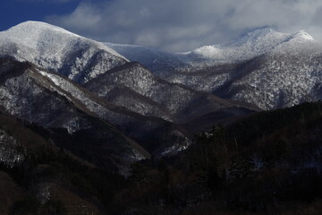 原神教令院小问题隐藏成就
