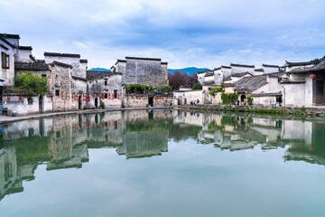 小驳骨有什么功效？