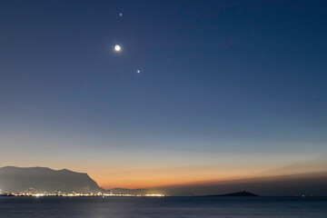 俄罗斯怎么可能有桉树