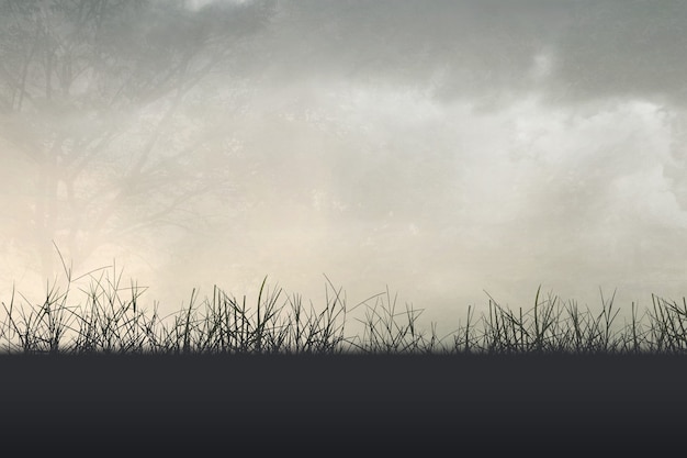 医院活动策划方案