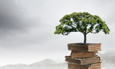 小驳骨有什么功效？